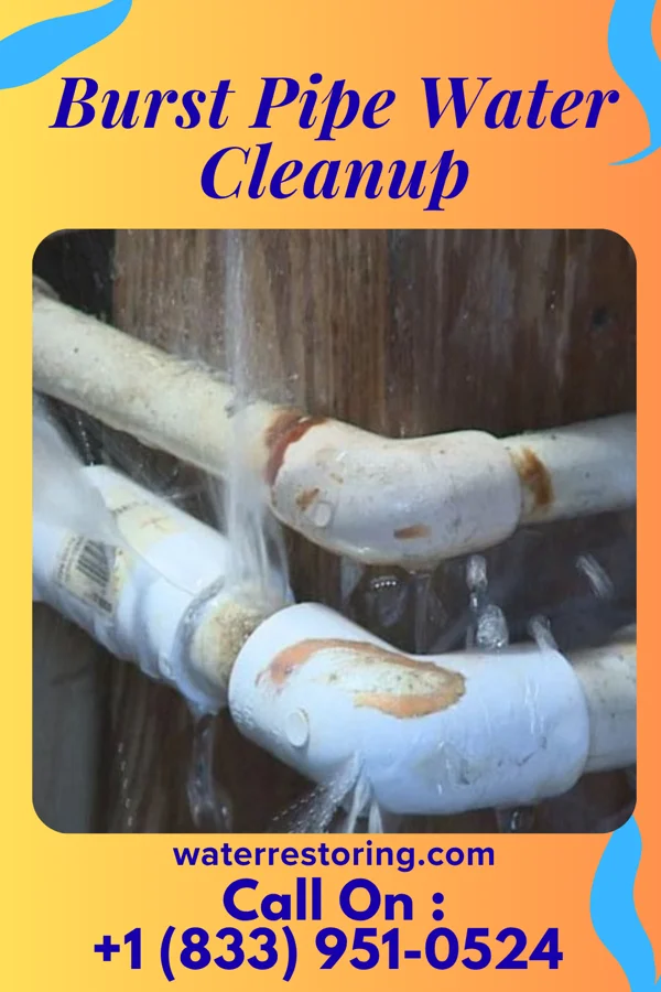 Burst Pipe Water Cleanup in Corinne, UT