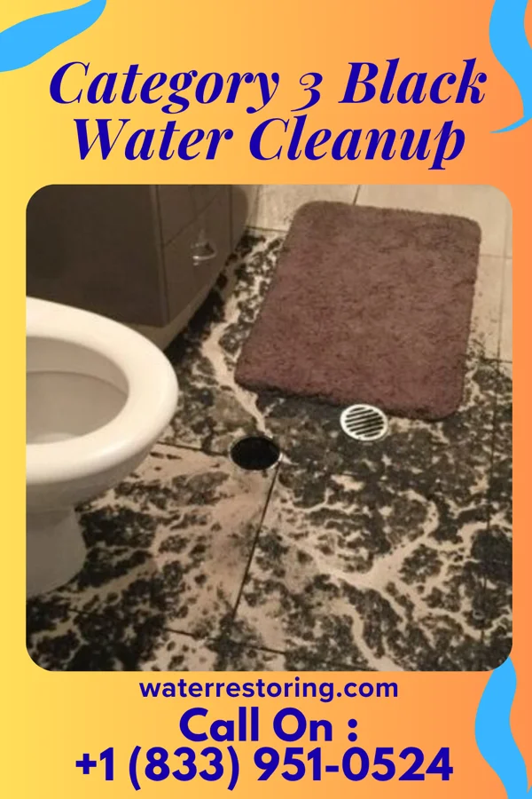 Category 3 Black Water Cleanup in Corinne, UT