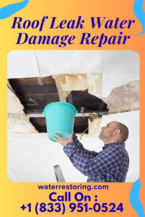 Roof Leak Water Damage Repair in Corinne, UT